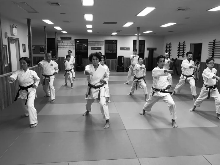 karate-class