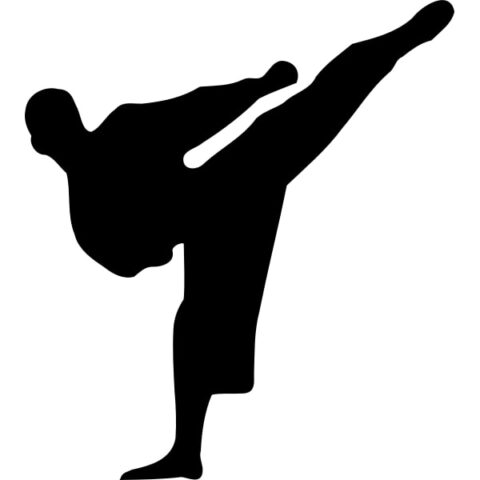 karate_silhouette